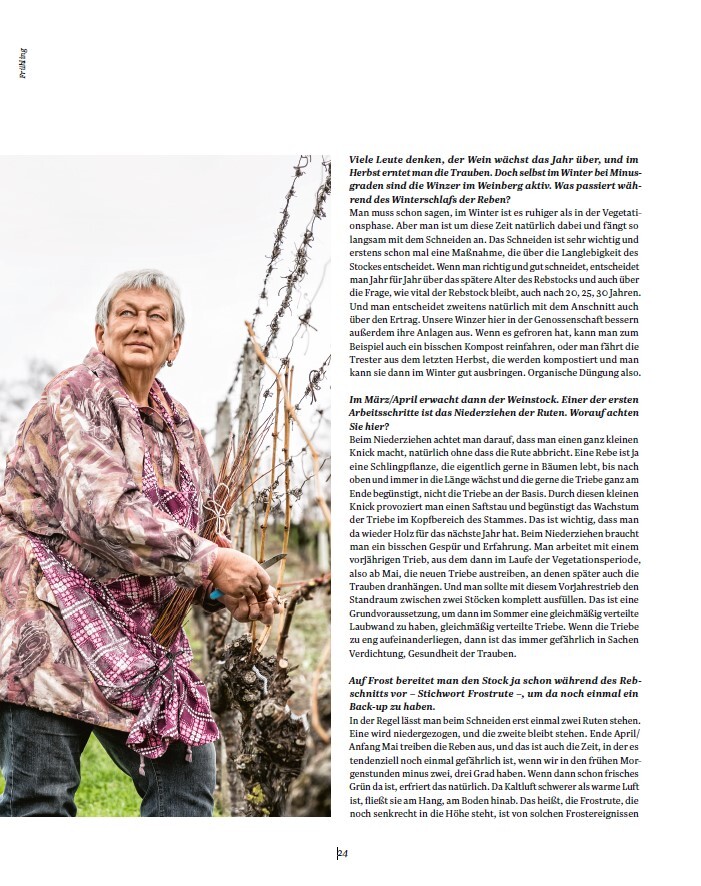 Weitere Ansicht: Die Weinmacher | Stefan Bausewein, Julia Schuller