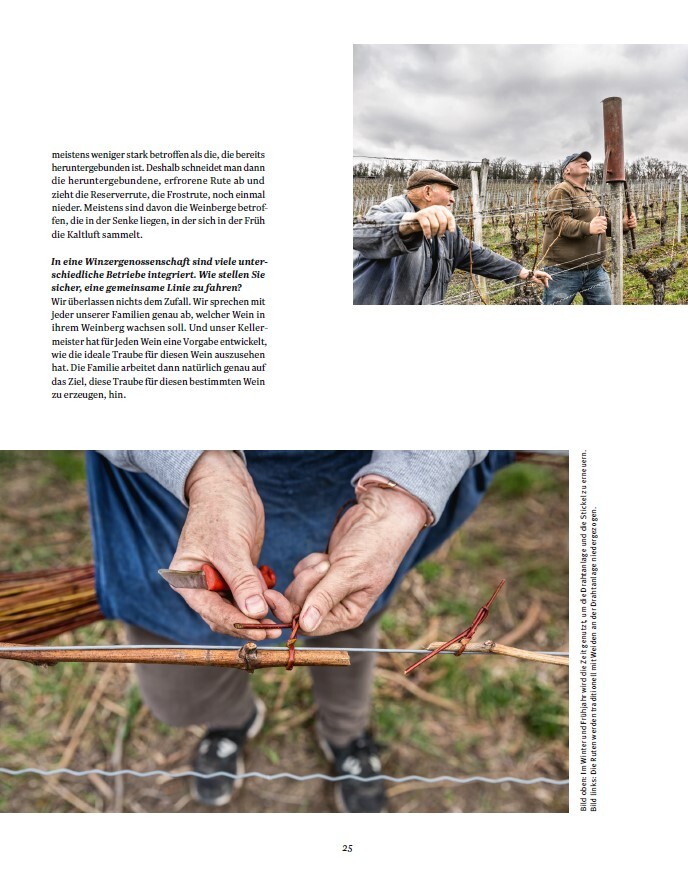 Weitere Ansicht: Die Weinmacher | Stefan Bausewein, Julia Schuller