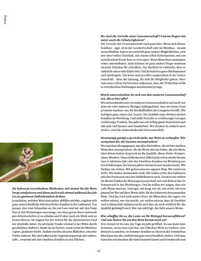 Weitere Ansicht: Die Weinmacher | Stefan Bausewein, Julia Schuller