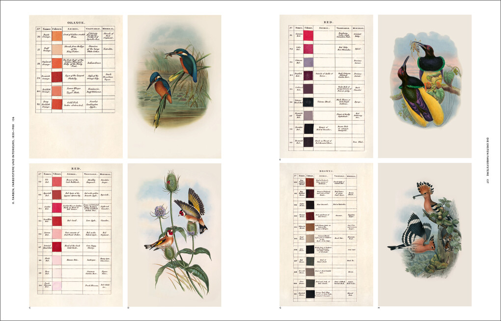 Weitere Ansicht: Die Natur der Farben | Patrick Baty