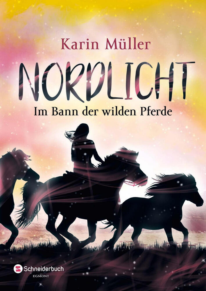 Produktbild: Nordlicht, Band 02 | Karin Müller