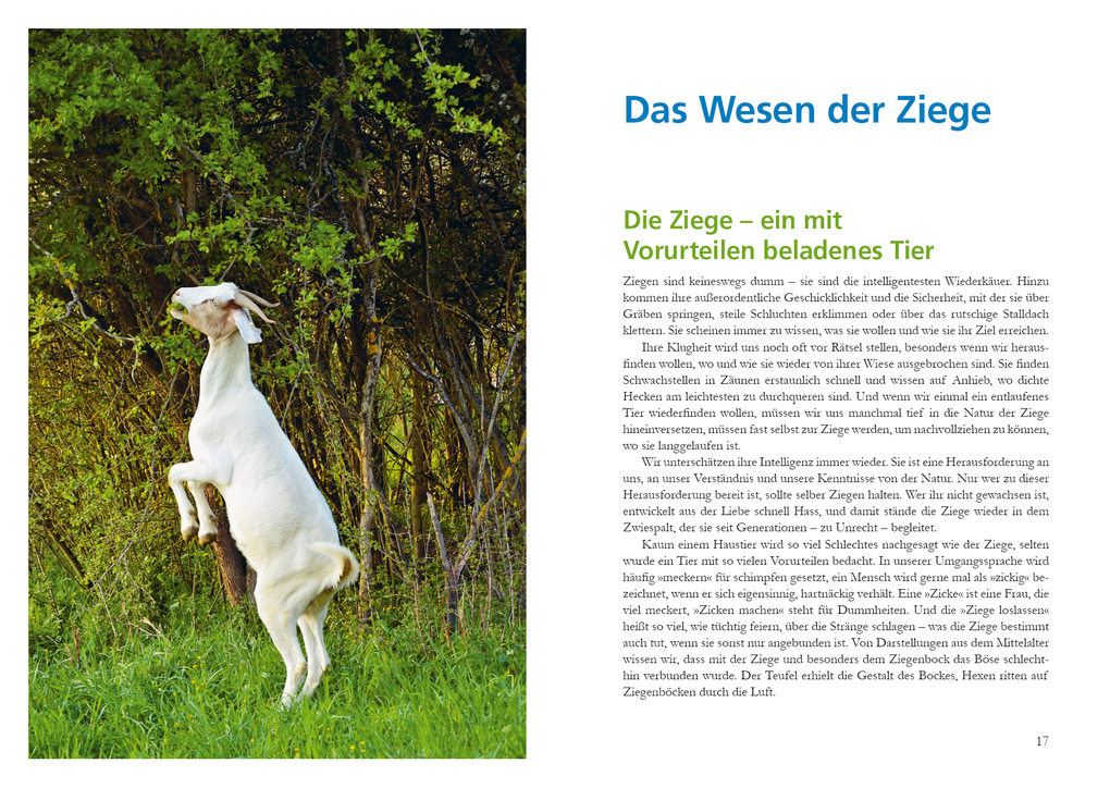 Weitere Ansicht: Alles für die Ziege | Annette Arnold, René Reibetanz