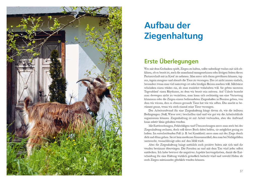 Weitere Ansicht: Alles für die Ziege | Annette Arnold, René Reibetanz