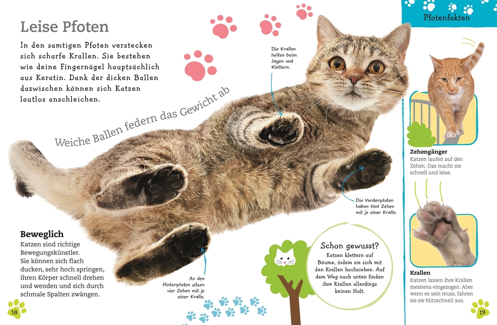 Weitere Ansicht: Alles über deine Katze