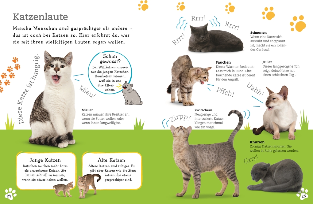 Weitere Ansicht: Alles über deine Katze