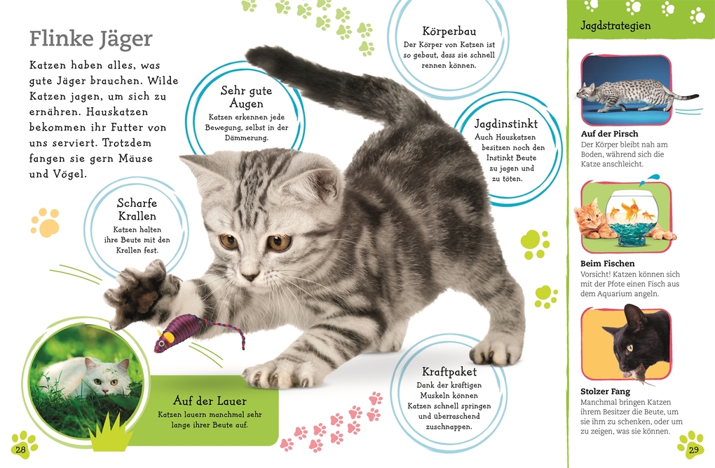 Weitere Ansicht: Alles über deine Katze