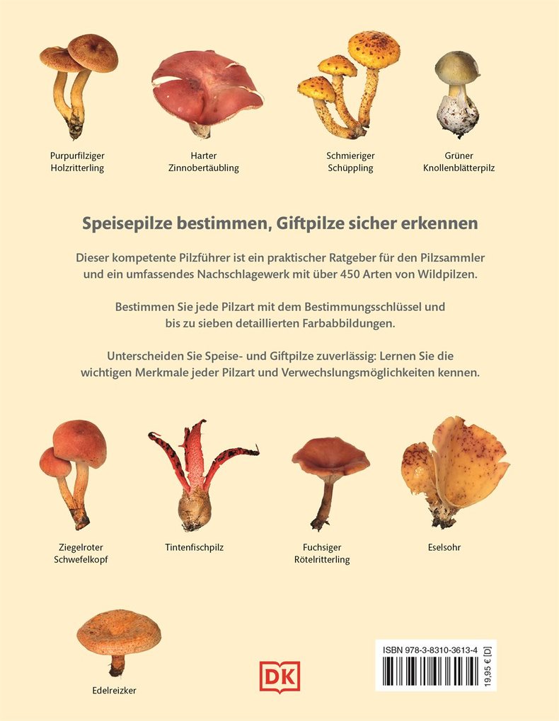 Weitere Ansicht: Pilze | Thomas Læssøe