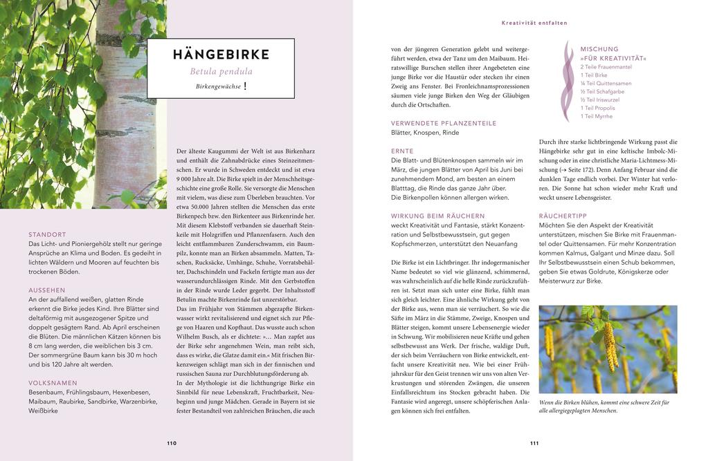 Weitere Ansicht: Heilsames Räuchern mit Wildpflanzen | Adolfine Nitschke