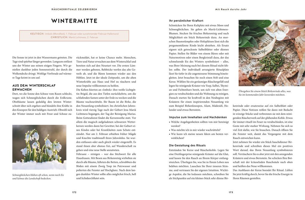 Weitere Ansicht: Heilsames Räuchern mit Wildpflanzen | Adolfine Nitschke