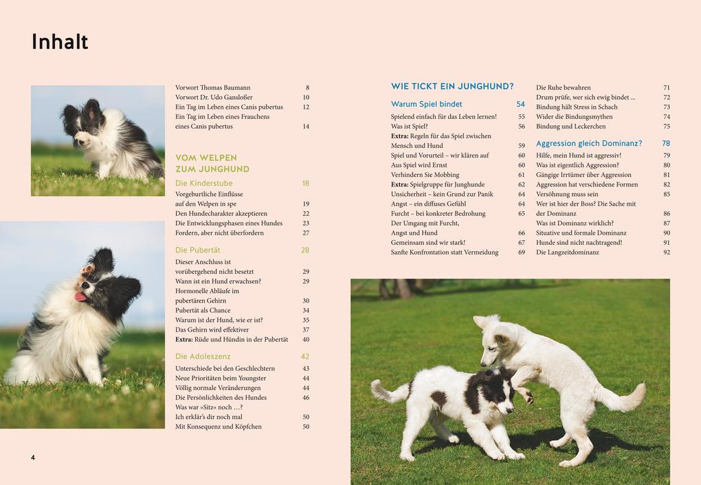 Weitere Ansicht: Wenn der Welpe zum halbstarken Hund wird | Uwe Borchert, Sophie Strodtbeck