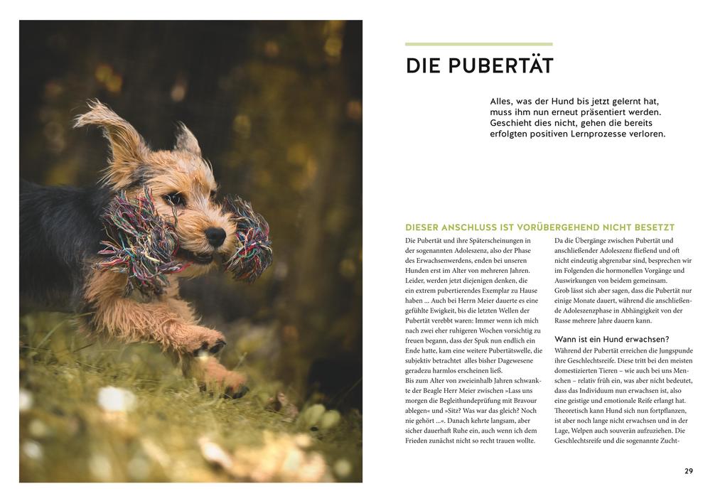 Weitere Ansicht: Wenn der Welpe zum halbstarken Hund wird | Uwe Borchert, Sophie Strodtbeck