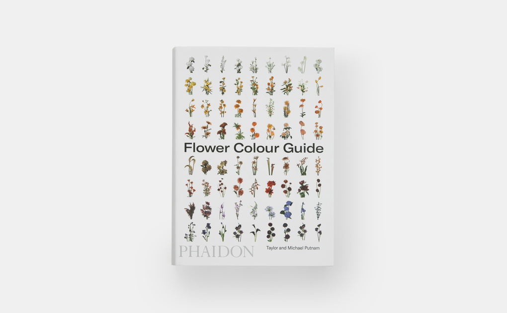 Weitere Ansicht: Flower Colour Guide | Darroch Putnam, Michael Putnam