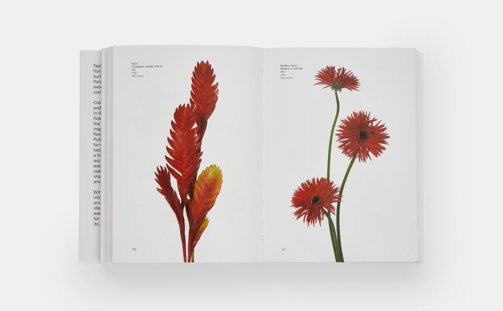Weitere Ansicht: Flower Colour Guide | Darroch Putnam, Michael Putnam