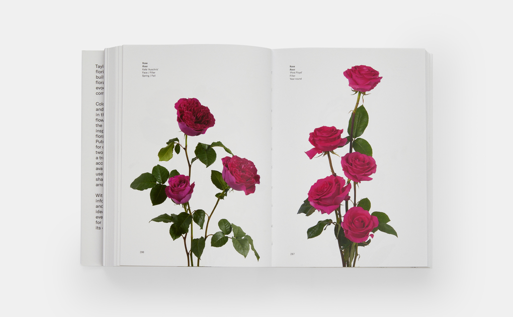 Weitere Ansicht: Flower Colour Guide | Darroch Putnam, Michael Putnam