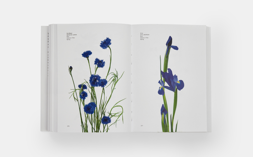 Weitere Ansicht: Flower Colour Guide | Darroch Putnam, Michael Putnam