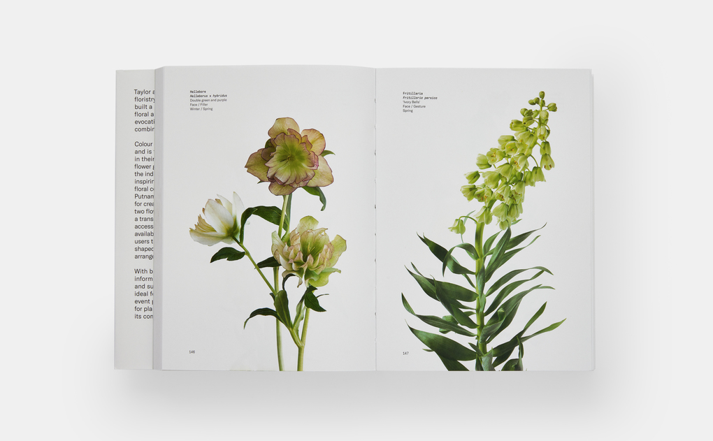 Weitere Ansicht: Flower Colour Guide | Darroch Putnam, Michael Putnam