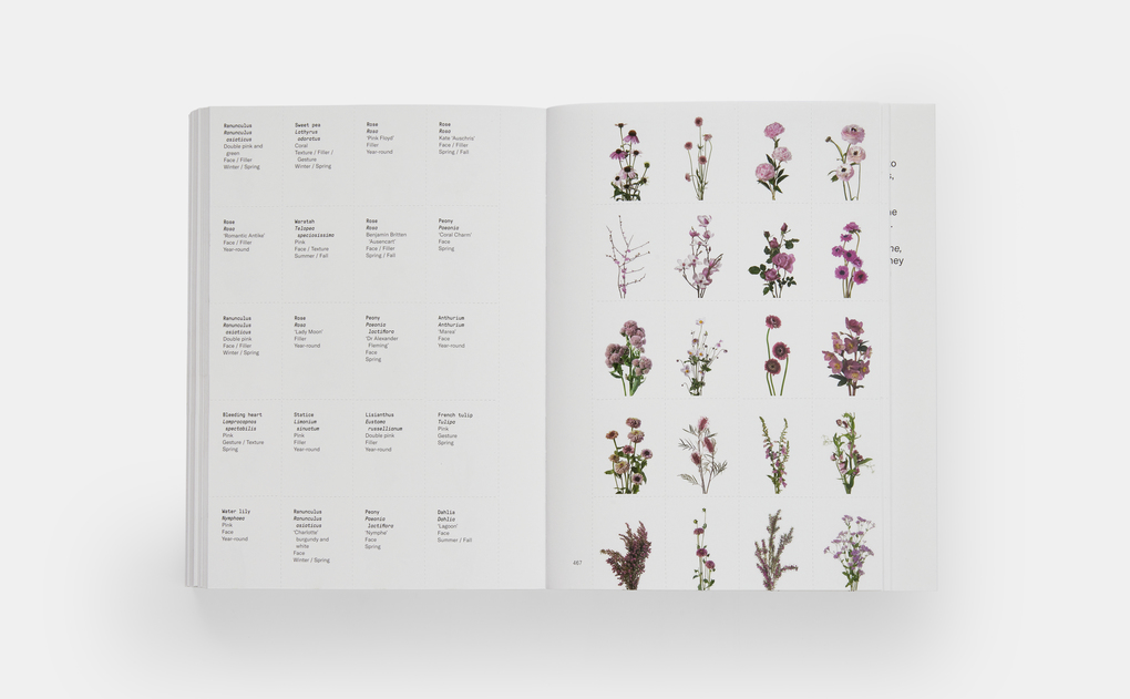 Weitere Ansicht: Flower Colour Guide | Darroch Putnam, Michael Putnam