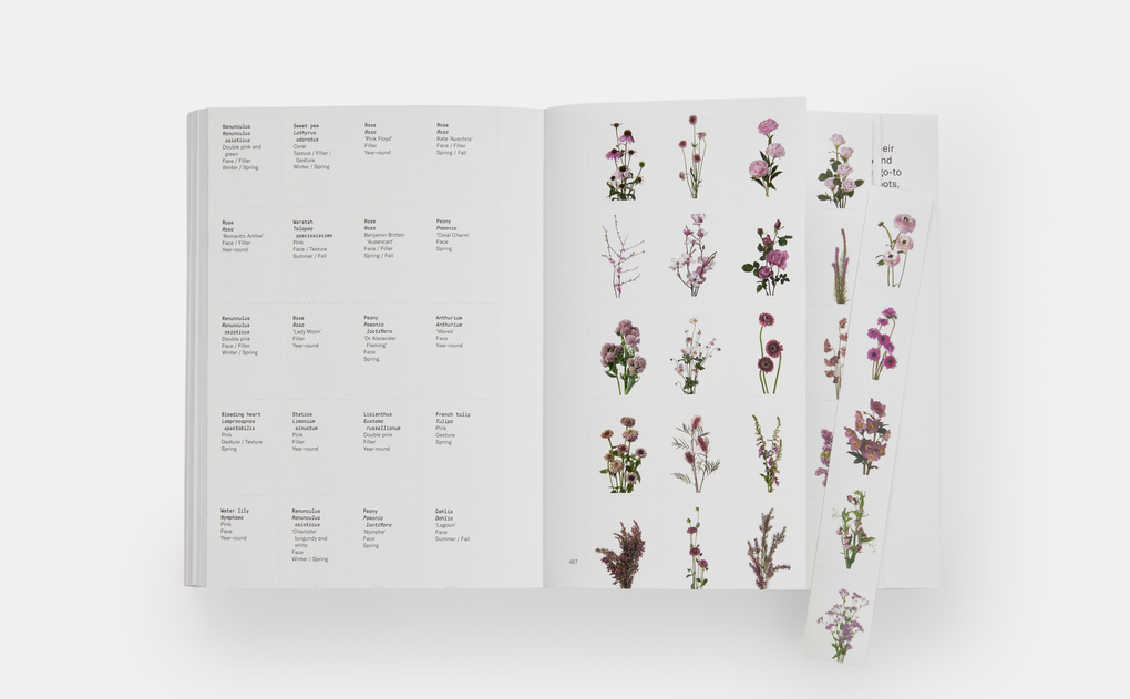 Weitere Ansicht: Flower Colour Guide | Darroch Putnam, Michael Putnam