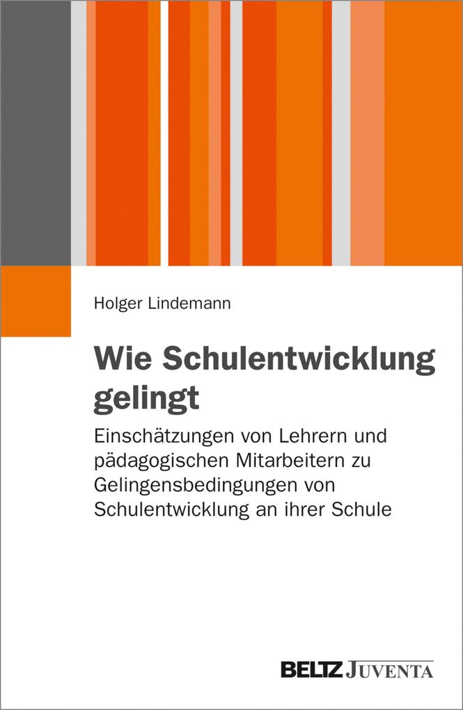 Produktbild: Wie Schulentwicklung gelingt | Holger Lindemann
