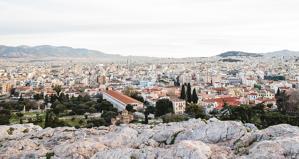 Weitere Ansicht: Find Momo across Europe | Andrew Knapp