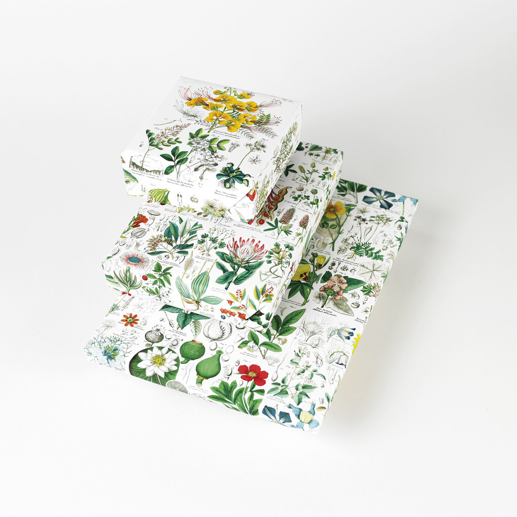 Weitere Ansicht: Flora | Pepin Roojen, Pepin Van Roojen