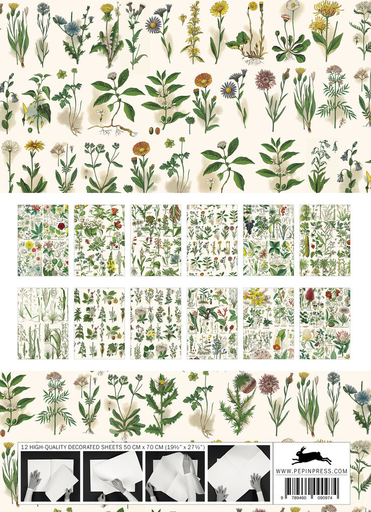 Weitere Ansicht: Flora | Pepin Roojen, Pepin Van Roojen