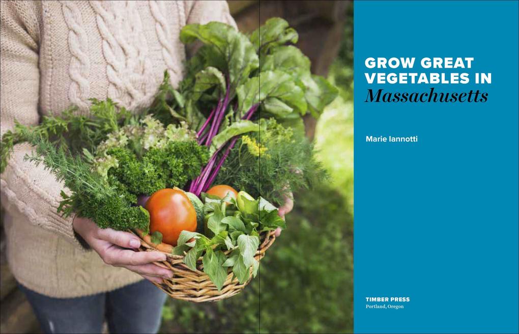 Weitere Ansicht: Grow Great Vegetables in Massachusetts | Marie Iannotti