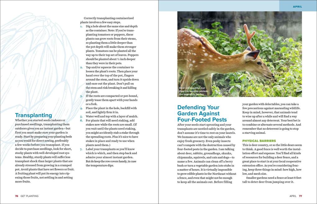 Weitere Ansicht: Grow Great Vegetables in Massachusetts | Marie Iannotti