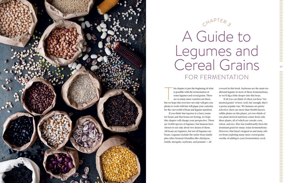 Weitere Ansicht: Miso, Tempeh, Natto & Other Tasty Ferments | Kirsten K. Shockey, Christopher Shockey