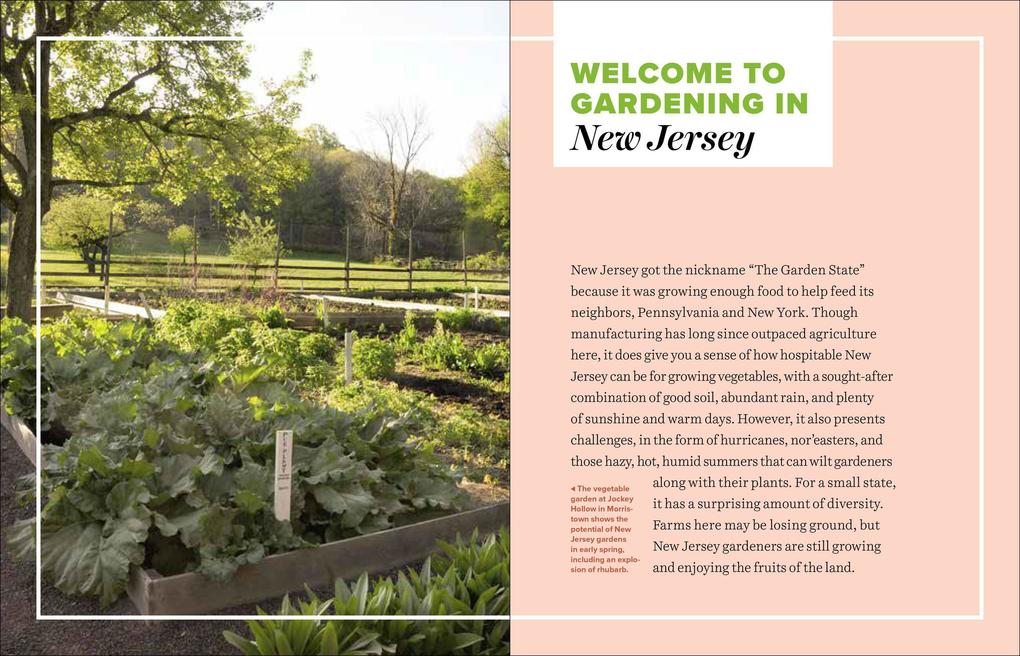 Weitere Ansicht: Grow Great Vegetables in New Jersey | Marie Iannotti