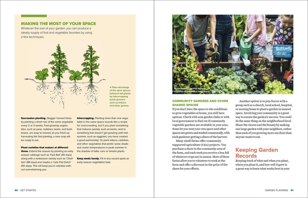 Weitere Ansicht: Grow Great Vegetables in New Jersey | Marie Iannotti