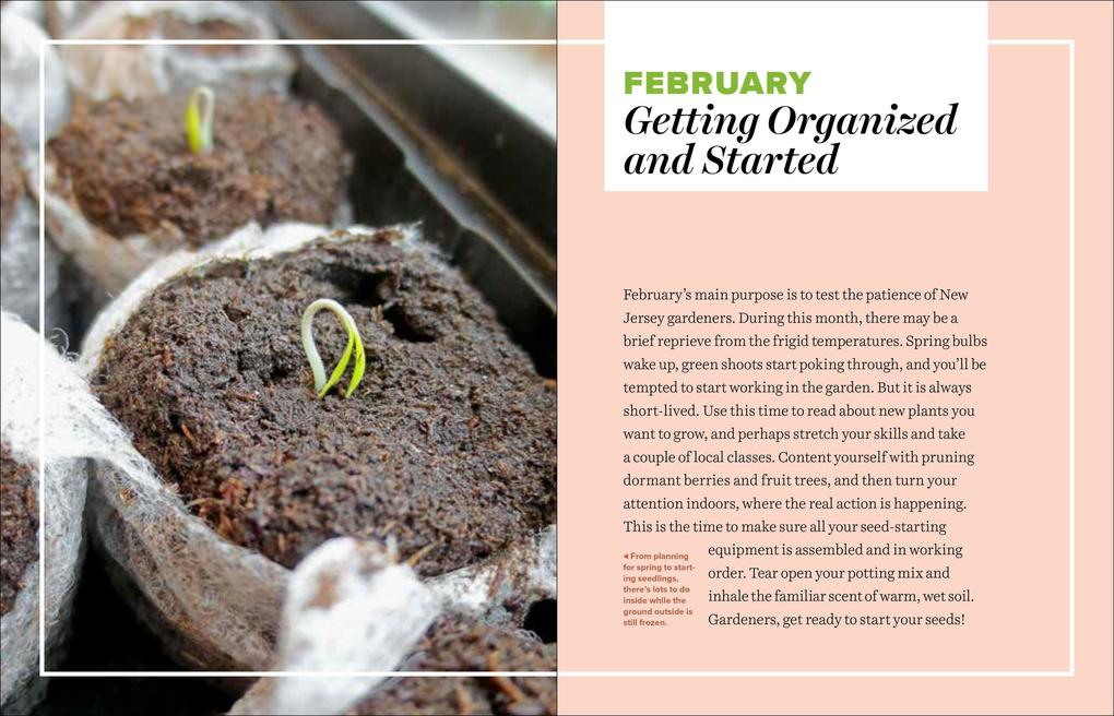 Weitere Ansicht: Grow Great Vegetables in New Jersey | Marie Iannotti