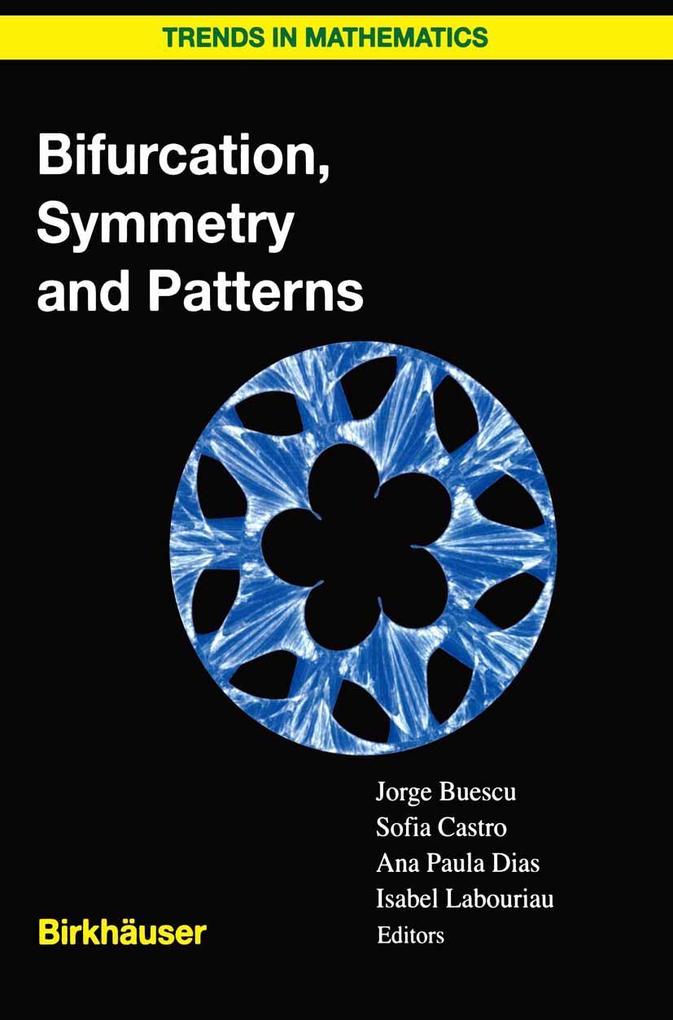 Produktbild: Bifurcation, Symmetry and Patterns
