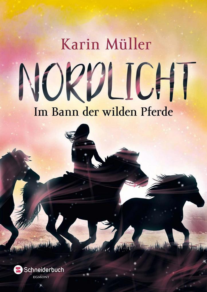 Produktbild: Nordlicht, Band 02 | Karin Müller