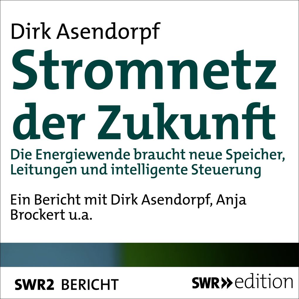 Produktbild: Stromnetz der Zukunft | Dirk Asendorpf