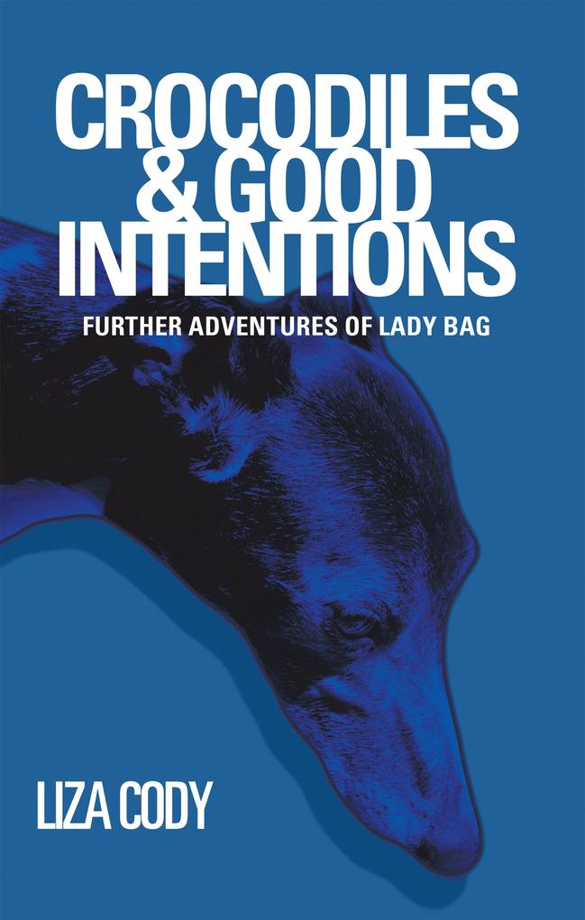 Produktbild: Crocodiles & Good Intentions | Liza Cody