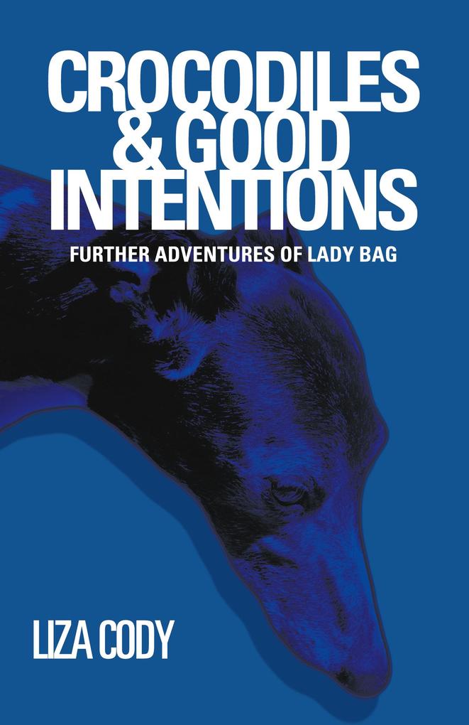 Produktbild: Crocodiles & Good Intentions | Liza Cody