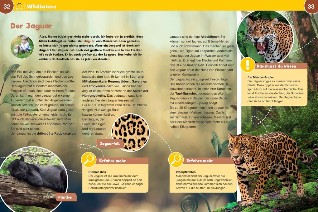 Weitere Ansicht: Leselauscher Wissen: Raubkatzen (inkl. CD) | Aileen van Lipzig