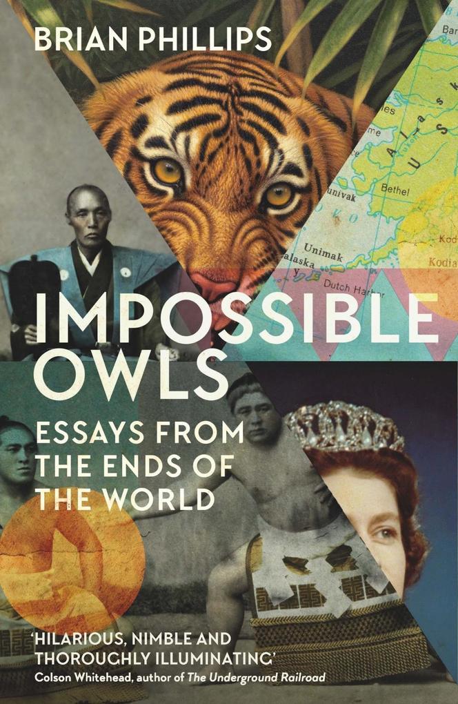 Produktbild: Impossible Owls | Brian Phillips