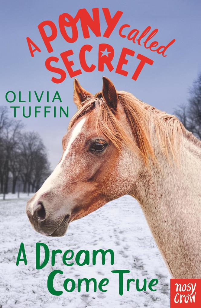 Produktbild: A Pony Called Secret: A Dream Come True | Olivia Tuffin