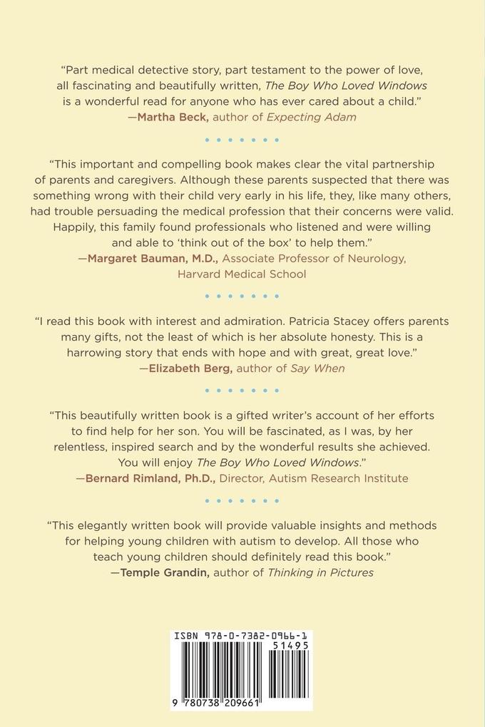 Weitere Ansicht: The Boy Who Loved Windows | Patricia Stacey