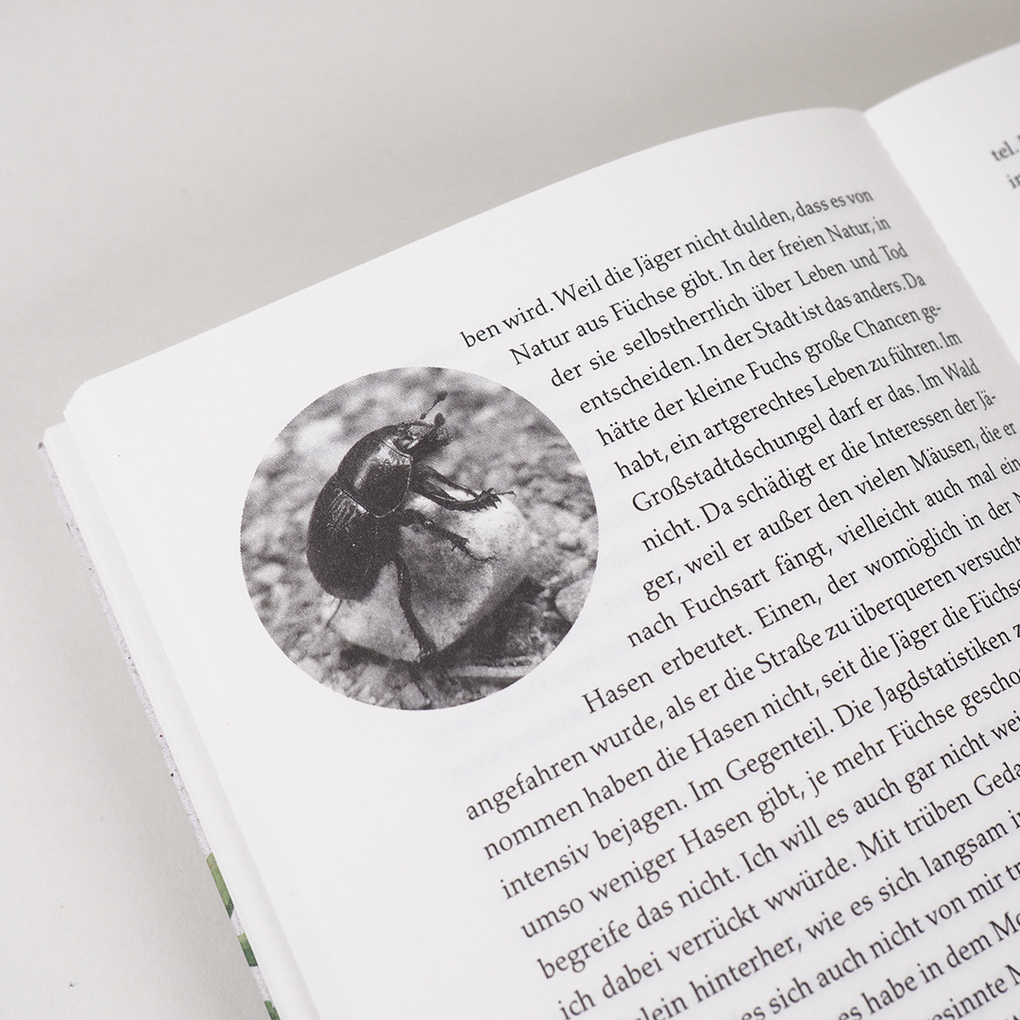 Weitere Ansicht: Eintauchen in den Wald | Miki Sakamoto