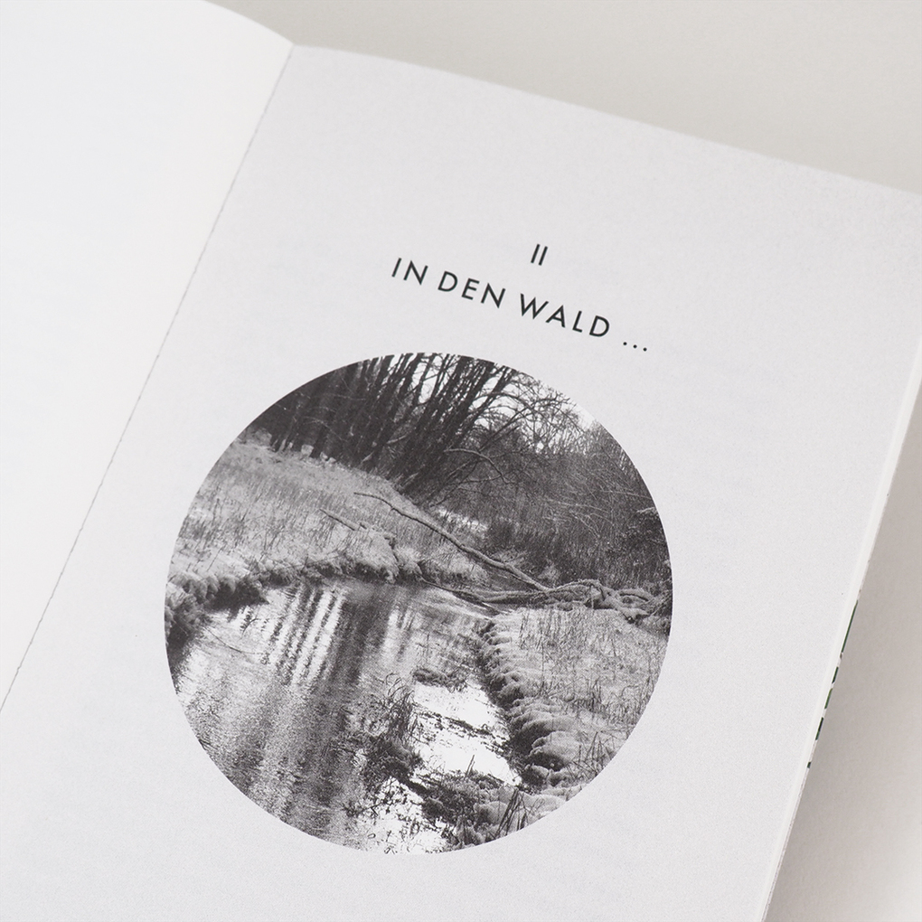 Weitere Ansicht: Eintauchen in den Wald | Miki Sakamoto