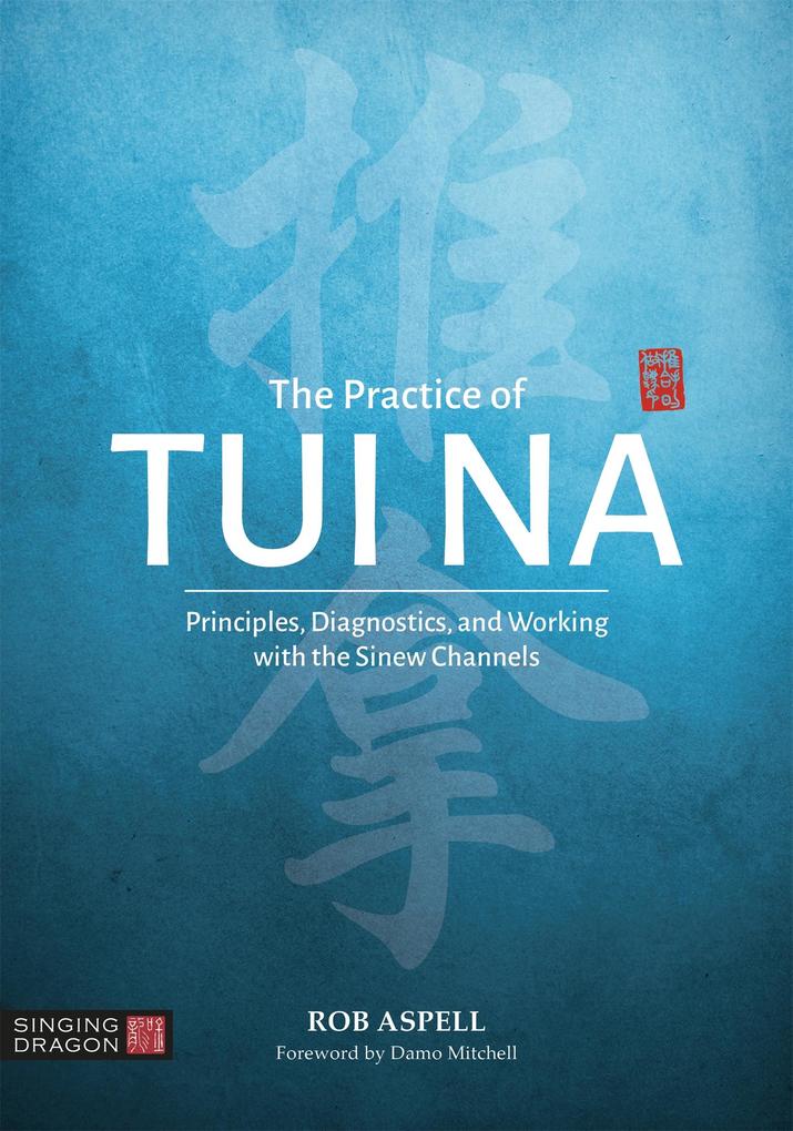 The Practice of Tui Na: Principles, Diagnostics and Working with the Sinew Channels als Taschenbuch