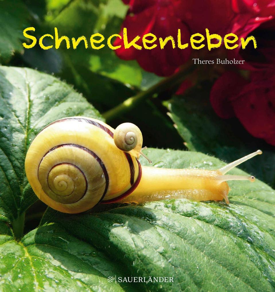 Produktbild: Schneckenleben | Theres Buholzer