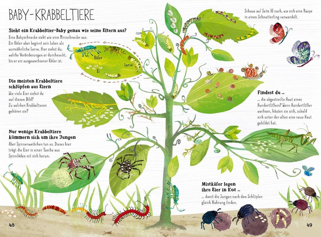 Weitere Ansicht: Das große Buch der Krabbeltiere | Yuval Zommer