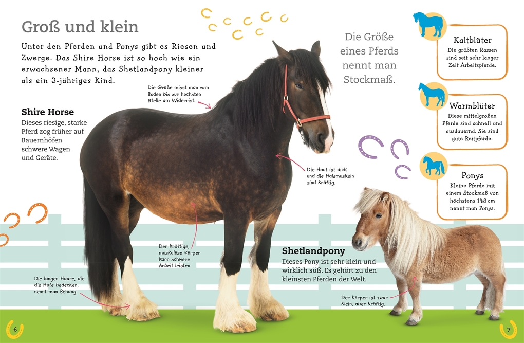 Weitere Ansicht: Pferde und Ponys