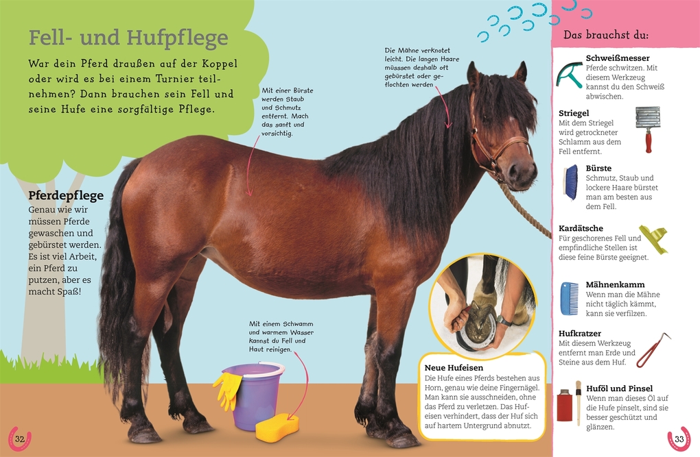 Weitere Ansicht: Pferde und Ponys