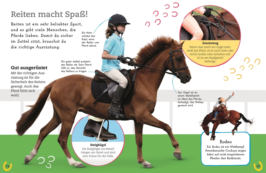 Weitere Ansicht: Pferde und Ponys