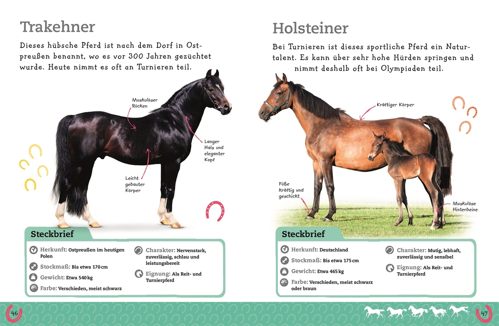 Weitere Ansicht: Pferde und Ponys